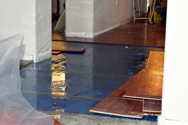 Professional Emergency Water Damage Restoration technician working in Palo, IA
